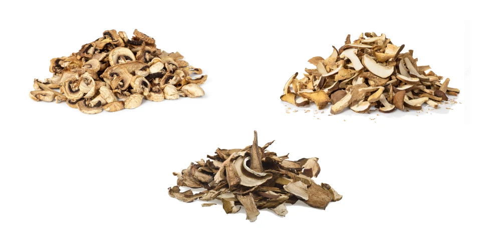 Dried mushrooms  - Poppe & Groninger